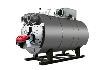 ZWNS燃?xì)庹婵諢崴仩t