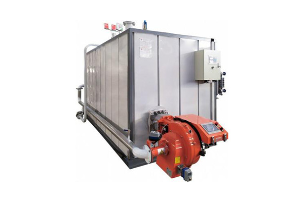 低氮燃?xì)庹羝l(fā)生器