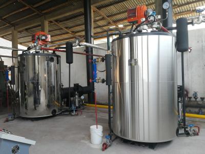 2臺2噸燃?xì)庹羝仩t